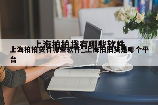 上海拍拍贷有哪些软件_上海拍拍贷是哪个平台