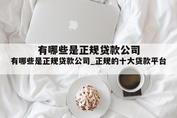 有哪些是正规贷款公司_正规的十大贷款平台
