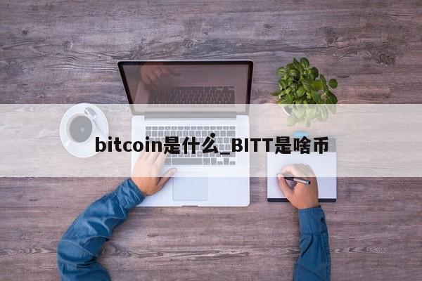 bitcoin是什么_BITT是啥币