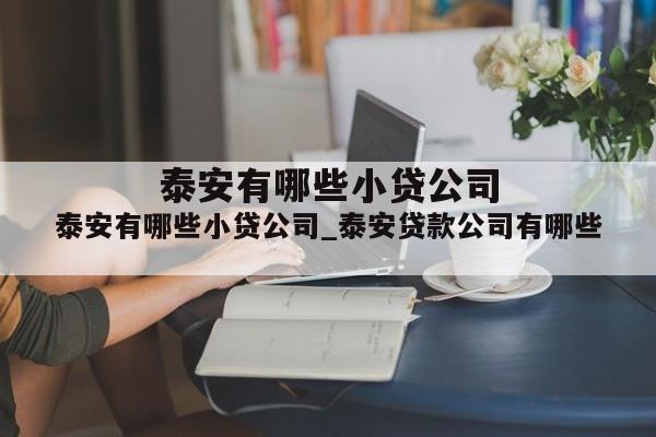泰安有哪些小贷公司_泰安贷款公司有哪些