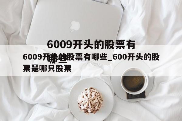 6009开头的股票有哪些_600开头的股票是哪只股票