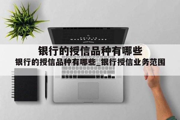 银行的授信品种有哪些_银行授信业务范围